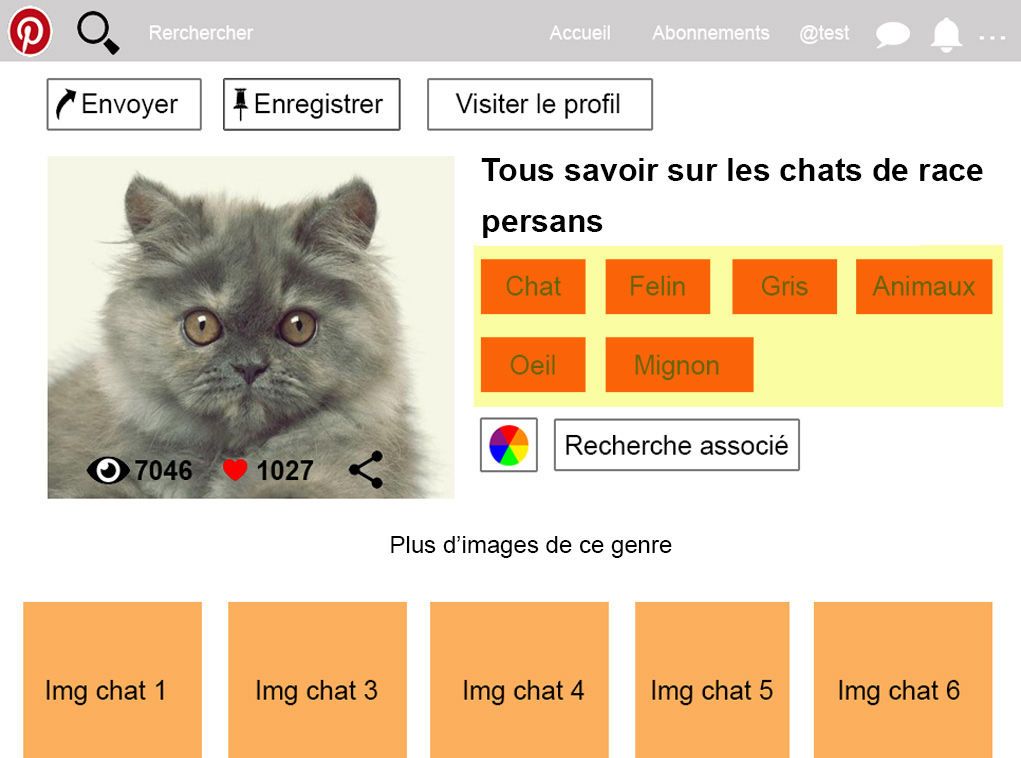 représente un wireframe de Pinterest on peut y voir une image de chat ainsi que des tags de couleur rouge.